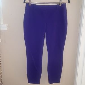 Purple side zip flat front pants